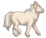 White Miniature Horse by TokoTime