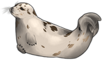 Spotty Harbor Seal by TokoTime