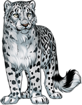Snow leopard by TokoTime