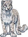 Albino Snow Leopard by TokoTime