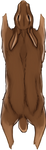 Chocolate Rabbit Pelt by TokoTime