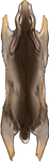 Sable Rabbit Pelt by TokoTime