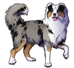 Blue Merle Australian Shepherd Companion by TokoTime