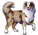 Red Merle Australian Shepherd Companion by TokoTime