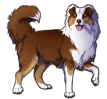 Red Tri Australian Shepherd Companion by TokoTime