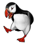 Puffin by TokoTime