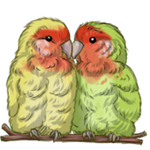 Lovebird by TokoTime