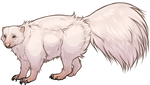 Albino Skunk Companion by TokoTime