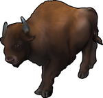 Bison Companion by TokoTime