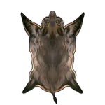 Brown Boar Pelt by TokoTime