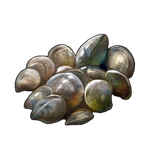 Clams by TokoTime