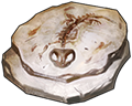 Fossil - Amphibian by TokoTime