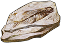 Fossil - Fish by TokoTime