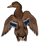 Mallard Duck Female by TokoTime