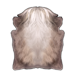 Albino Muskox Pelt by TokoTime