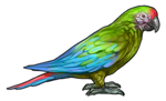 Green Macaw Parrot Companion by TokoTime