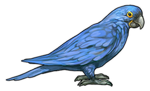 Hyacinth Macaw Parrot Companion by TokoTime