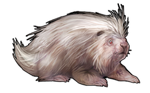 Albino Porcupine Companion by TokoTime
