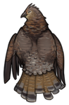 Ruffed Grouse by TokoTime