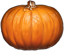 Pumpkin by TokoTime