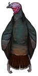 Wild Turkey by TokoTime