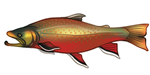 Arctic Char by TokoTime