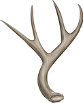 Antler by TokoTime