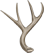 Antler by TokoTime