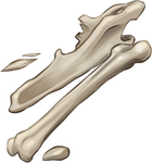 Large Bone Fragments by TokoTime