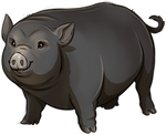 Black Pig Companion by TokoTime