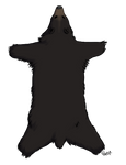 Black Bear Pelt by TokoTime