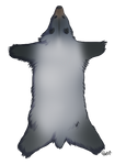 Glacier Bear Pelt by TokoTime