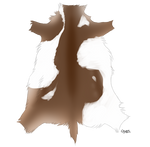 Piebald Caribou Pelt by TokoTime