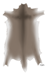 Gray-Brown Deer Pelt by TokoTime