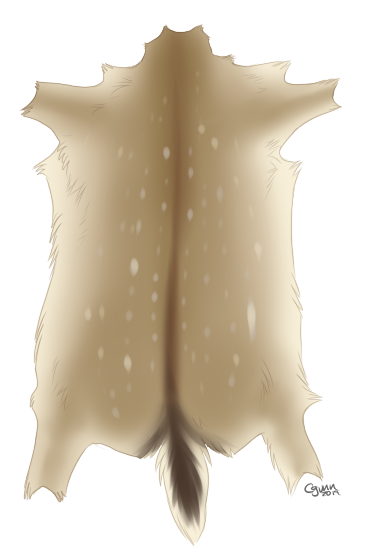 Spotted Deer Pelt