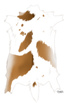 Piebald Deer Pelt by TokoTime