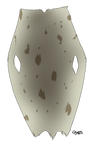 Light Brown Seal Pelt by TokoTime