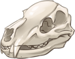 Bear Skull by TokoTime