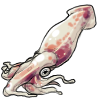Squid by TokoTime