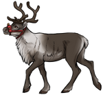 Donner by TokoTime