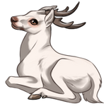 Albino Deer by TokoTime
