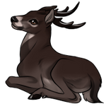 Melanistic Deer by TokoTime