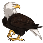Eagle by TokoTime