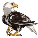 Piebald Eagle by TokoTime