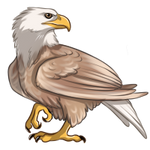 Leucistic Eagle by TokoTime