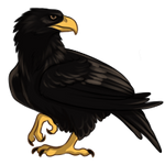 Black Eagle by TokoTime