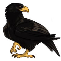 Black Eagle