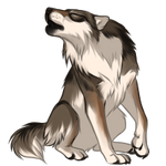 Wolf by TokoTime