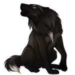 Black Wolf by TokoTime