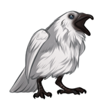 Leucistic Raven by TokoTime